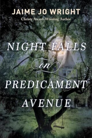 9780764241451 Night Falls On Predicament Avenue