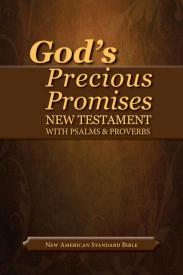 9780899579207 Gods Precious Promises New Testament With Psalms And Proverbs