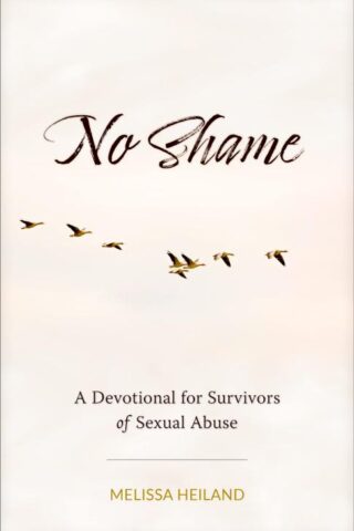 9781496482082 No Shame : A Devotional For Survivors Of Sexual Abuse