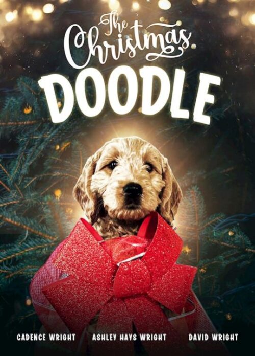 9781954458079 Christmas Doodle (DVD)