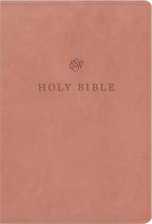 9781433595646 Large Print Compact Bible