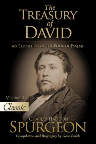 9781610369978 Treasury Of David Volume 1