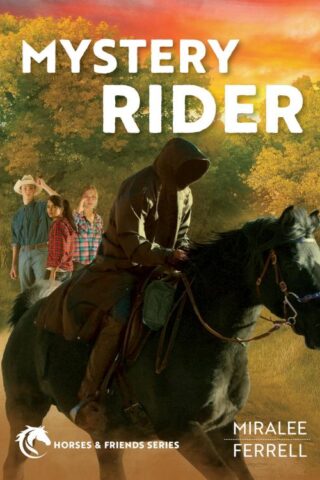 9781434707376 Mystery Rider