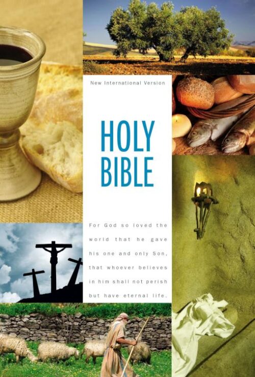 9780310435228 Textbook Edition Bible