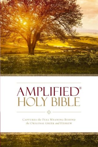 9780310443902 Amplified Bible