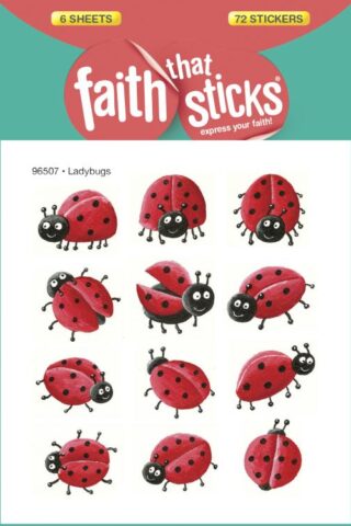 9781414396507 Ladybugs Stickers