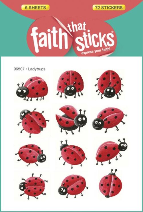 9781414396507 Ladybugs Stickers