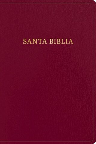 9781430091981 Giant Print Bible