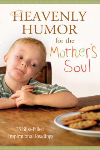 9781616262549 Heavenly Humor For The Mothers Soul