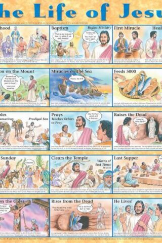 9781890947187 Life Of Jesus Wall Chart Laminated