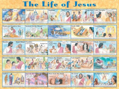 9781890947187 Life Of Jesus Wall Chart Laminated