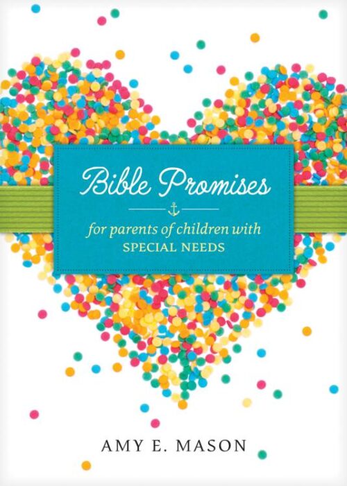 9781496417275 Bible Promises For Parents Of Children With Special Needs