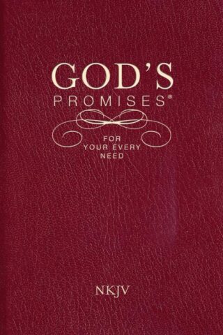 9781404186651 Gods Promises For Your Every Need NKJV