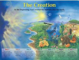 9781890947309 Creation Wall Chart Laminated