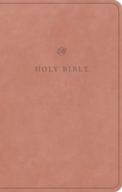 9798874900236 Premium Gift Bible