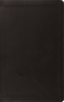 9798874903299 Value Thinline Bible