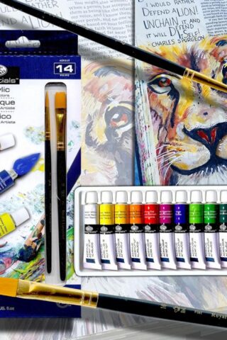 090672028570 Royal And Langnickel Acrylic Artist Paint Set