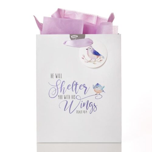 6006937143944 He Will Shelter You Gift Bag