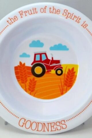 692193806899 Fruit Of The Spirit Is Goodness Kids Bowl