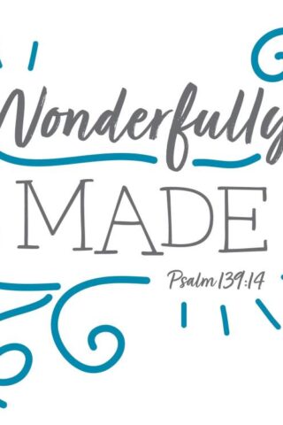 692193806998 Wonderfully Made Swaddle Blanket
