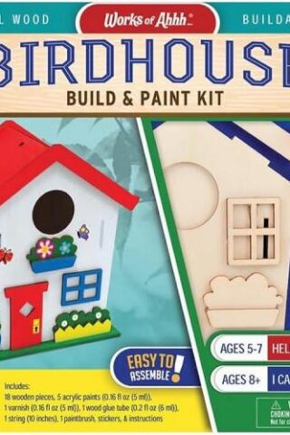 705988221026 Birdhouse Build And Paint Kit