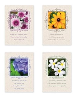 730817360737 Sympathy Portraits Of Peace NIV Box Of 12