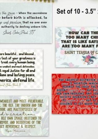 7426842715514 Pro Life Sticker Set