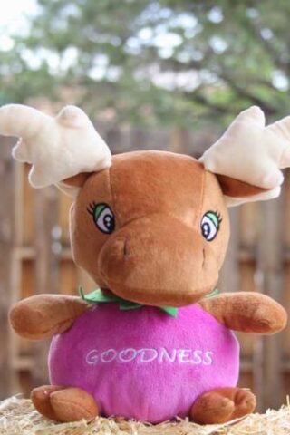 759740954646 Goodness The Grape Moose