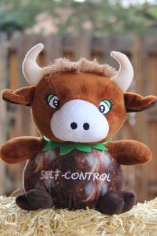 759740954677 Self Control The Coconut Bull