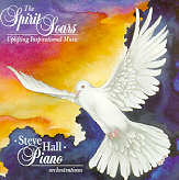 796547001128 Spirit Soars