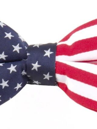 796736089005 Patriotic Bow Tie American