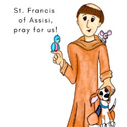 796745000619 Saint Francis Of Assisi (Magnet)