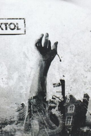 803847113229 Extol