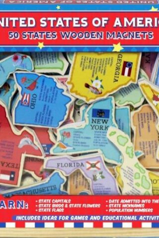 805219504765 United States Of America 50 States Wooden Magnets (Puzzle)