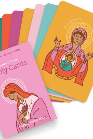850048569539 Holy Cards Marian Pack