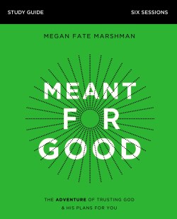 9780310113805 Meant For Good Study Guide (Student/Study Guide)