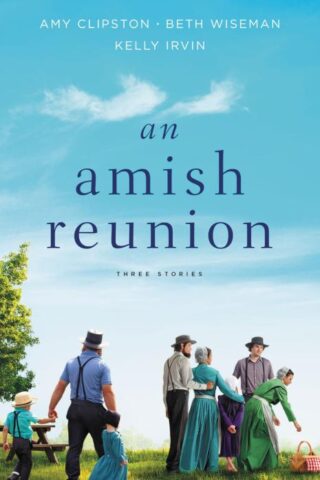 9780310360049 Amish Reunion : Three Stories