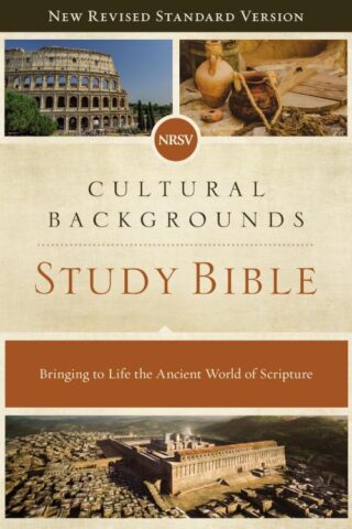 9780310452683 Cultural Backgrounds Study Bible Comfort Print