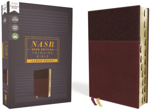 9780310456681 Thinline Bible Large Print 2020 Text Comfort Print