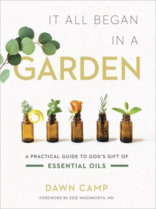 9780736979580 It All Began In A Garden