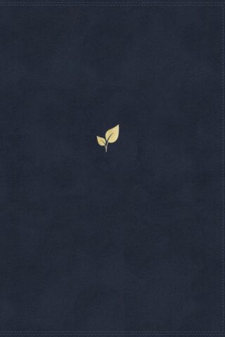 9780785208242 Lucado Encouraging Word Bible Comfort Print