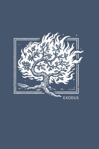 9780785236924 NET Abide Bible Journal Exodus Comfort Print
