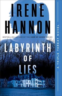 9780800740504 Labyrinth Of Lies