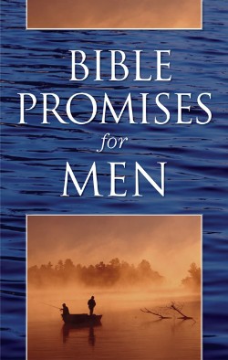 9780805447675 Bible Promises For Men