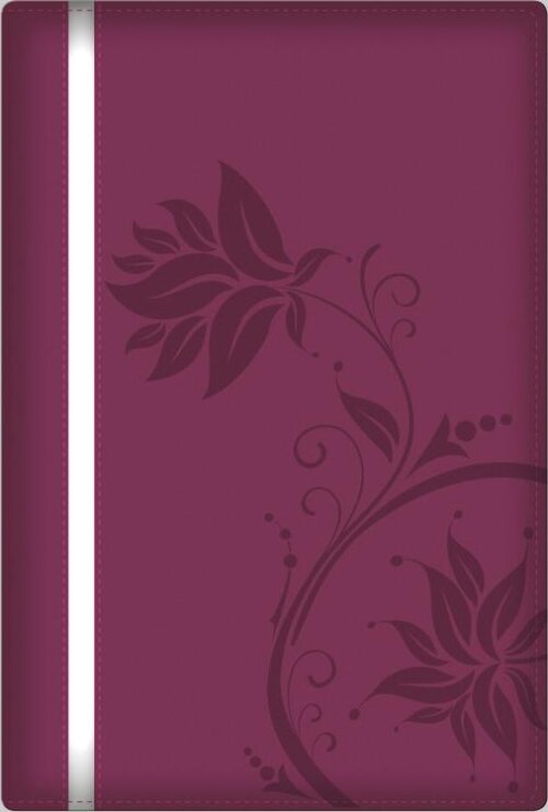 9780825444913 Woman After Gods Own Heart Bible