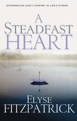 9780875527475 Steadfast Heart : Experiencing Gods Comfort In Lifes Storms