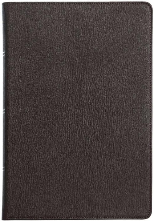 9781087722184 Large Print Thinline Bible
