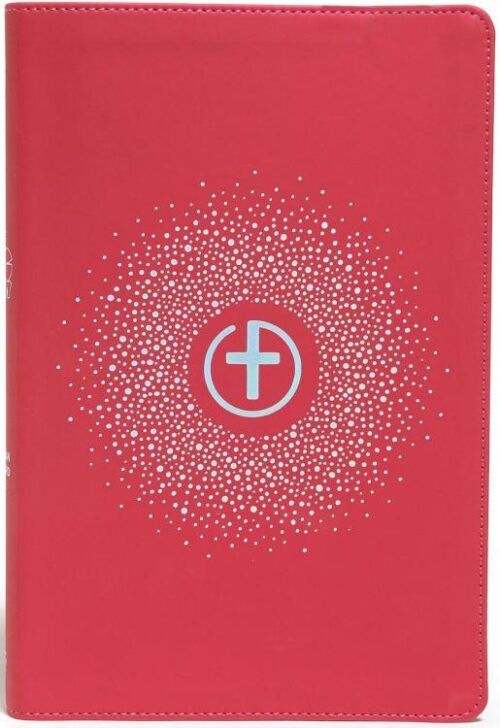 9781087730318 1 Big Story Bible