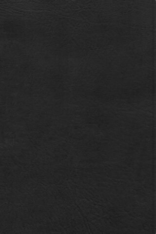9781087743035 Ultrathin Bible