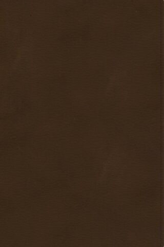 9781087743059 Ultrathin Bible